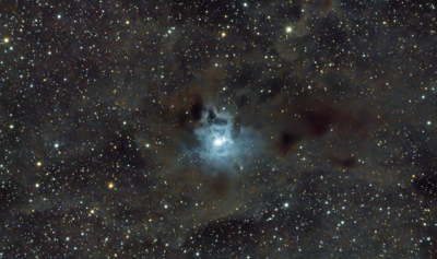 NGC7023 Irisnebel